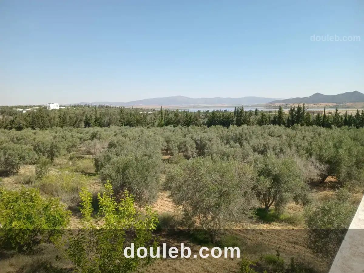 Bonne occasion à Zaghouan