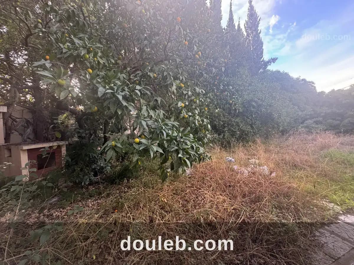 Villa de coin avec grand potentiel à menzah 1 à Tunis