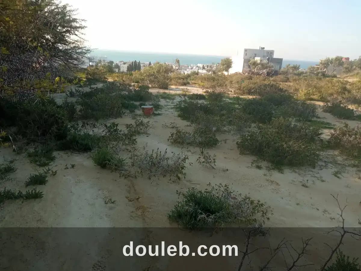 Terrain à bâtir à Nabeul