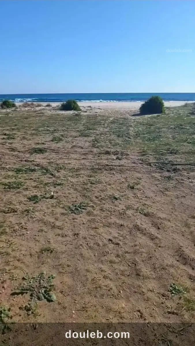 Terrain cap bon 1000m2 à Nabeul