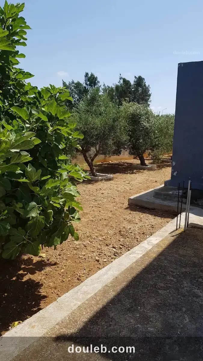 Villa confortable ds 1000m2 - Miniature 5