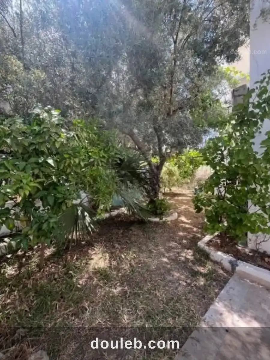 Ennasr 2 spacieux appt s4 avec terrasse - Miniature 4