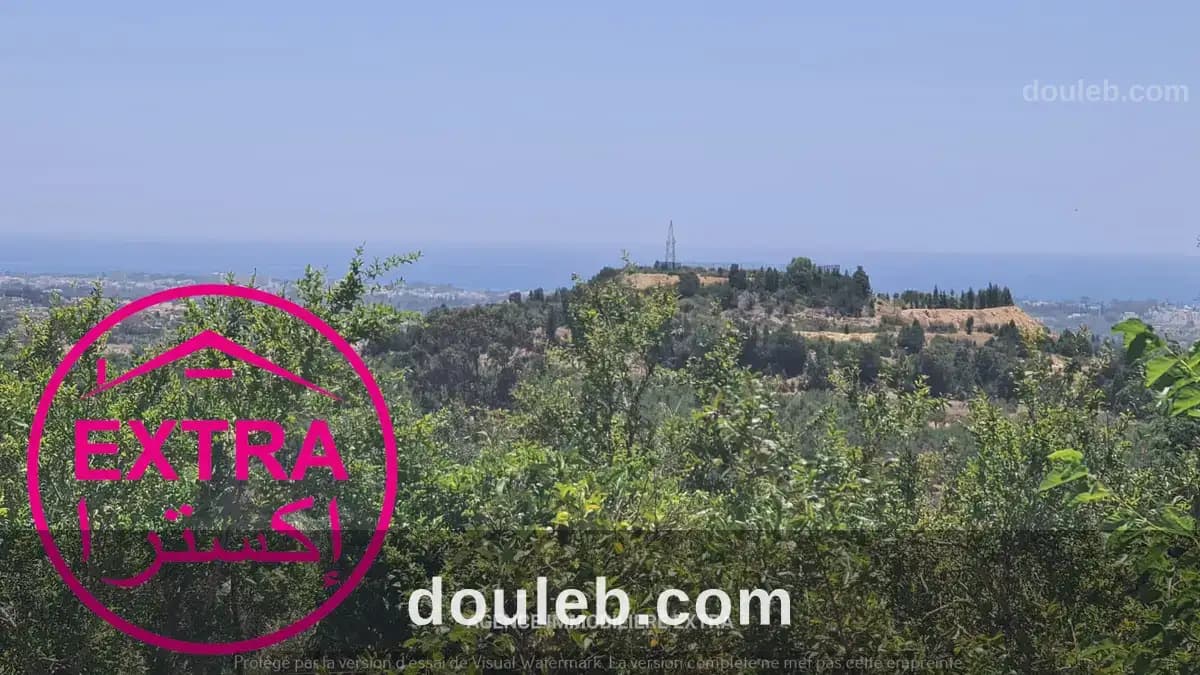 Campagne a hwaria de nabeul à Nabeul