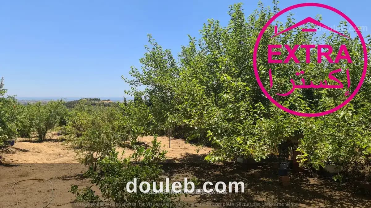 Campagne a hwaria de nabeul - Miniature 3