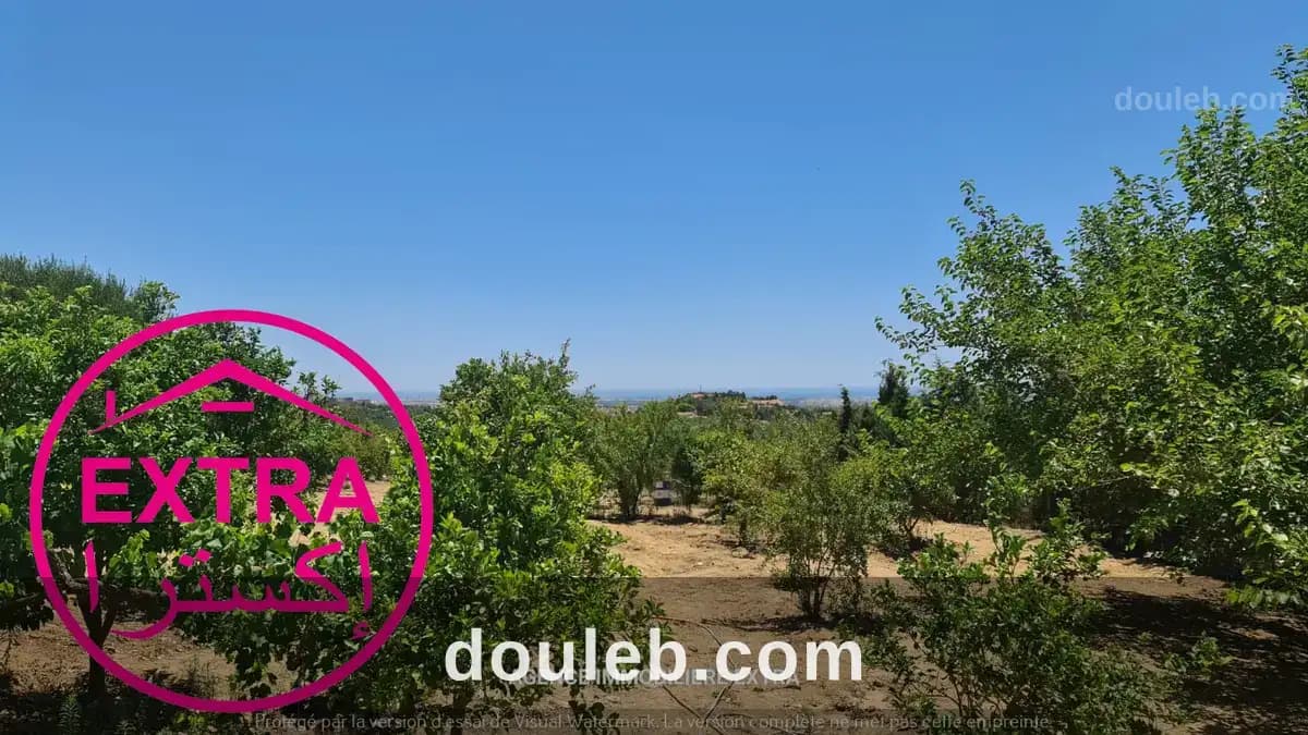 Campagne a hwaria de nabeul - Miniature 4