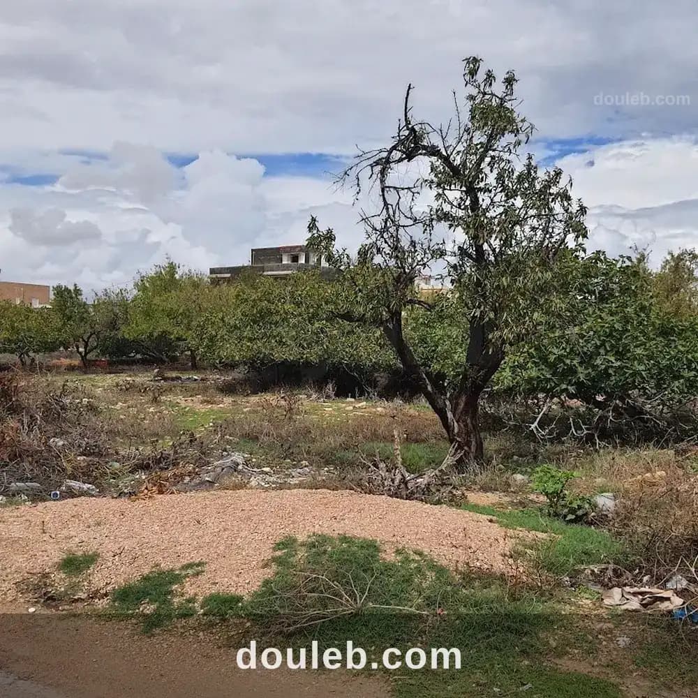 Lot chebba ville - Miniature 2