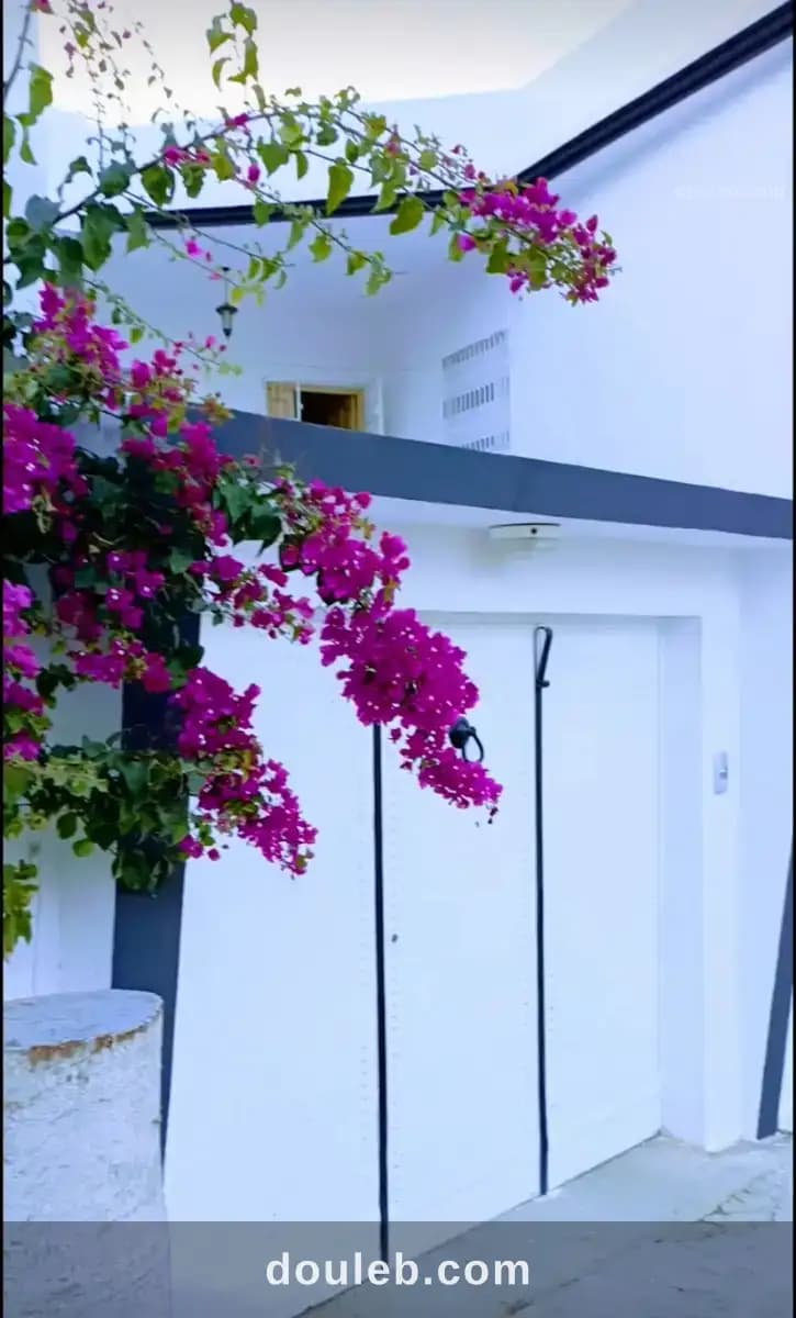 Rch villa mnihla à Ariana