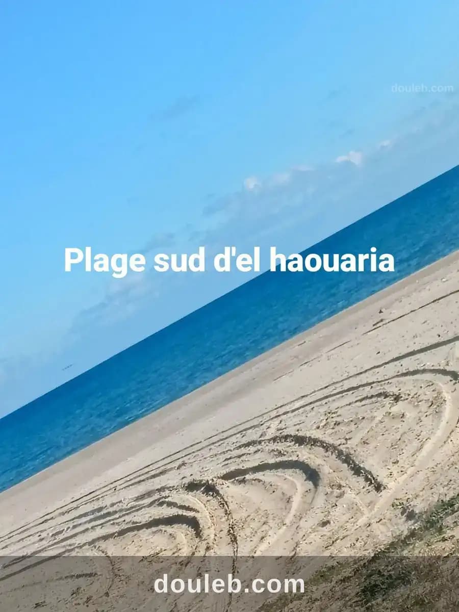 Plage haouaria - Miniature 2