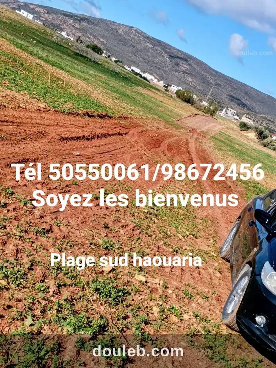 Plage haouaria - Miniature 5