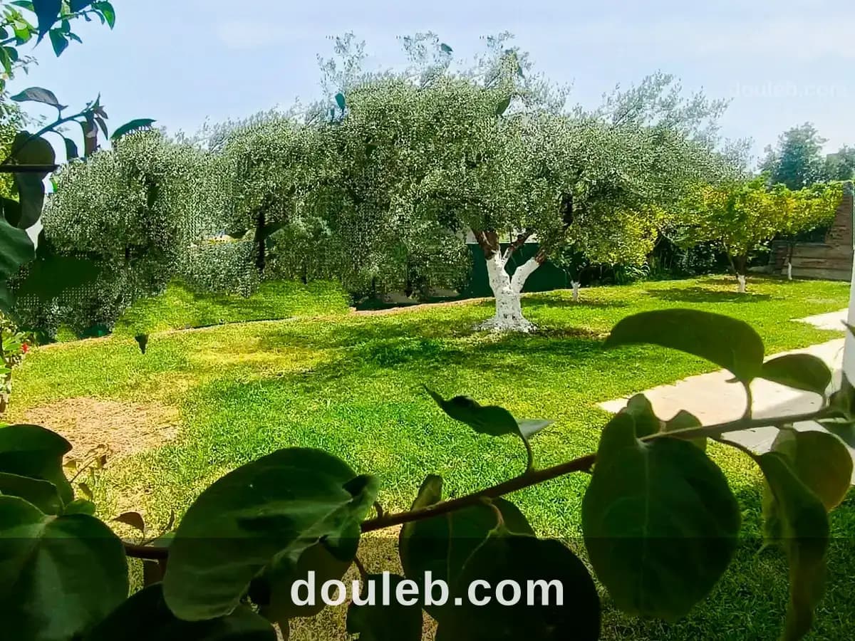 Menzah 7 rdj villa s 3 avec jardin 300m2 à Ariana