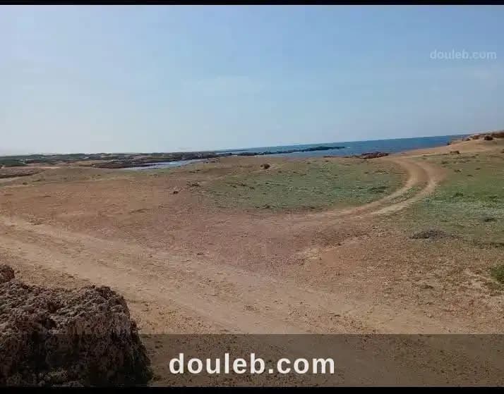 Offre spécial 7 jours à Nabeul