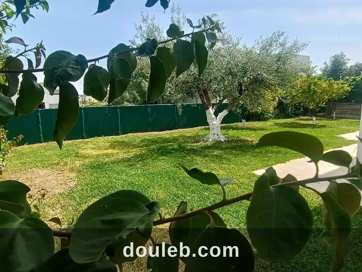 Rez de jardin de villa de 520 m2 à el menzah7 à Tunis