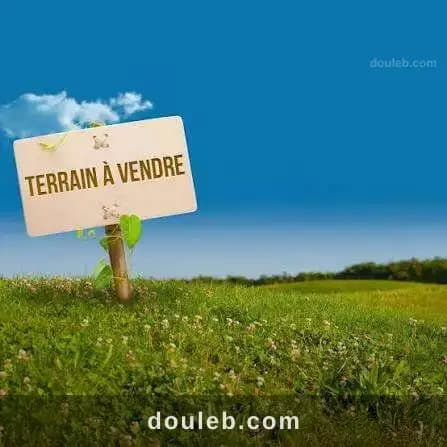 Deux terrains à bni mtir à Jendouba