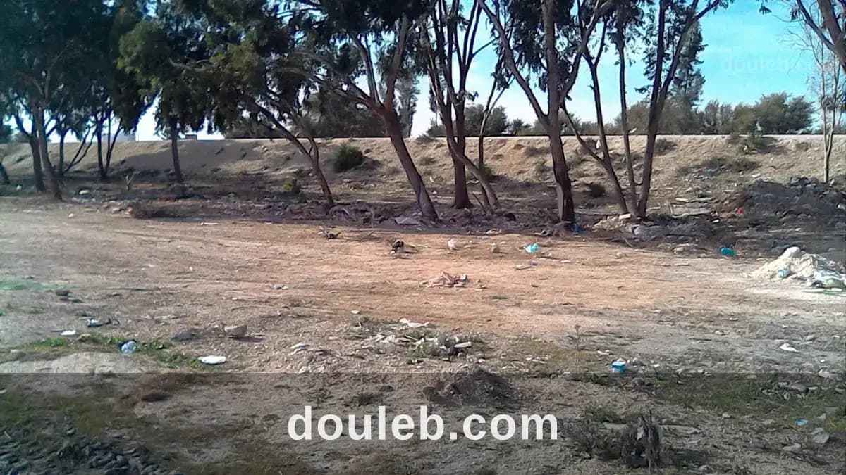 Terrain de 5560 m2 à kairouan - Miniature 2