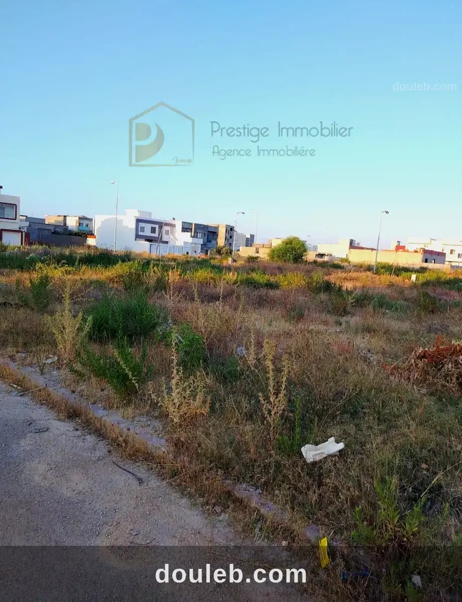 Terrain lotissement premiere ministre - Miniature 3