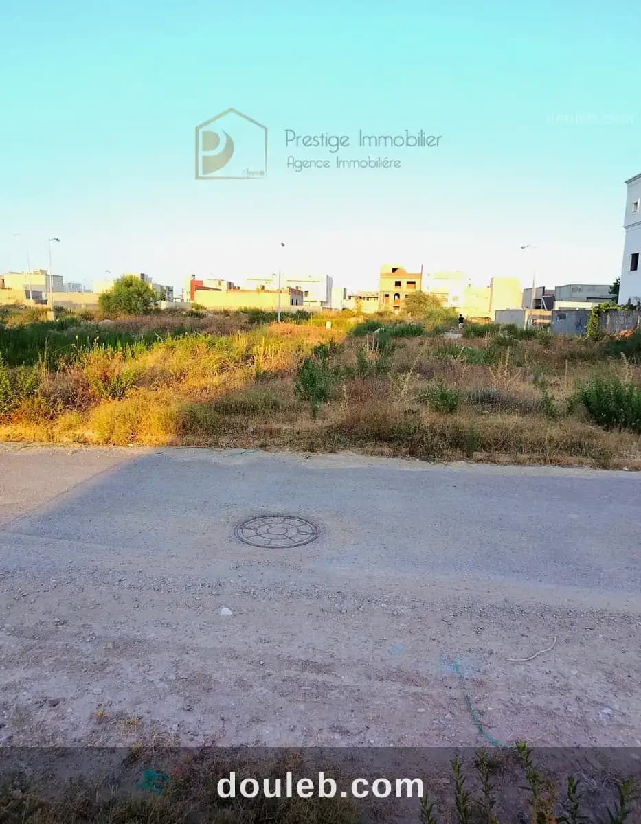 Terrain lotissement premiere ministre - Miniature 4