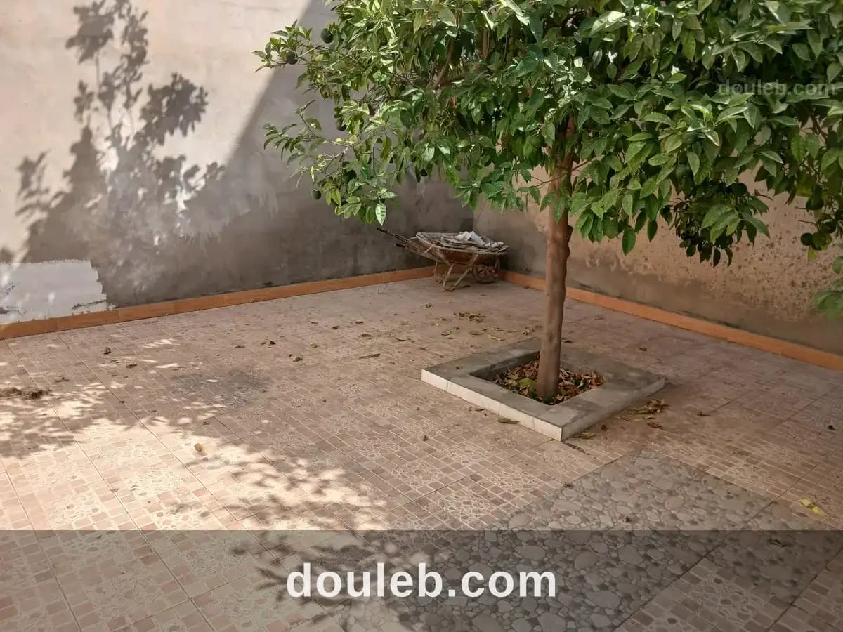 Maison et appartement mrezgua à Nabeul