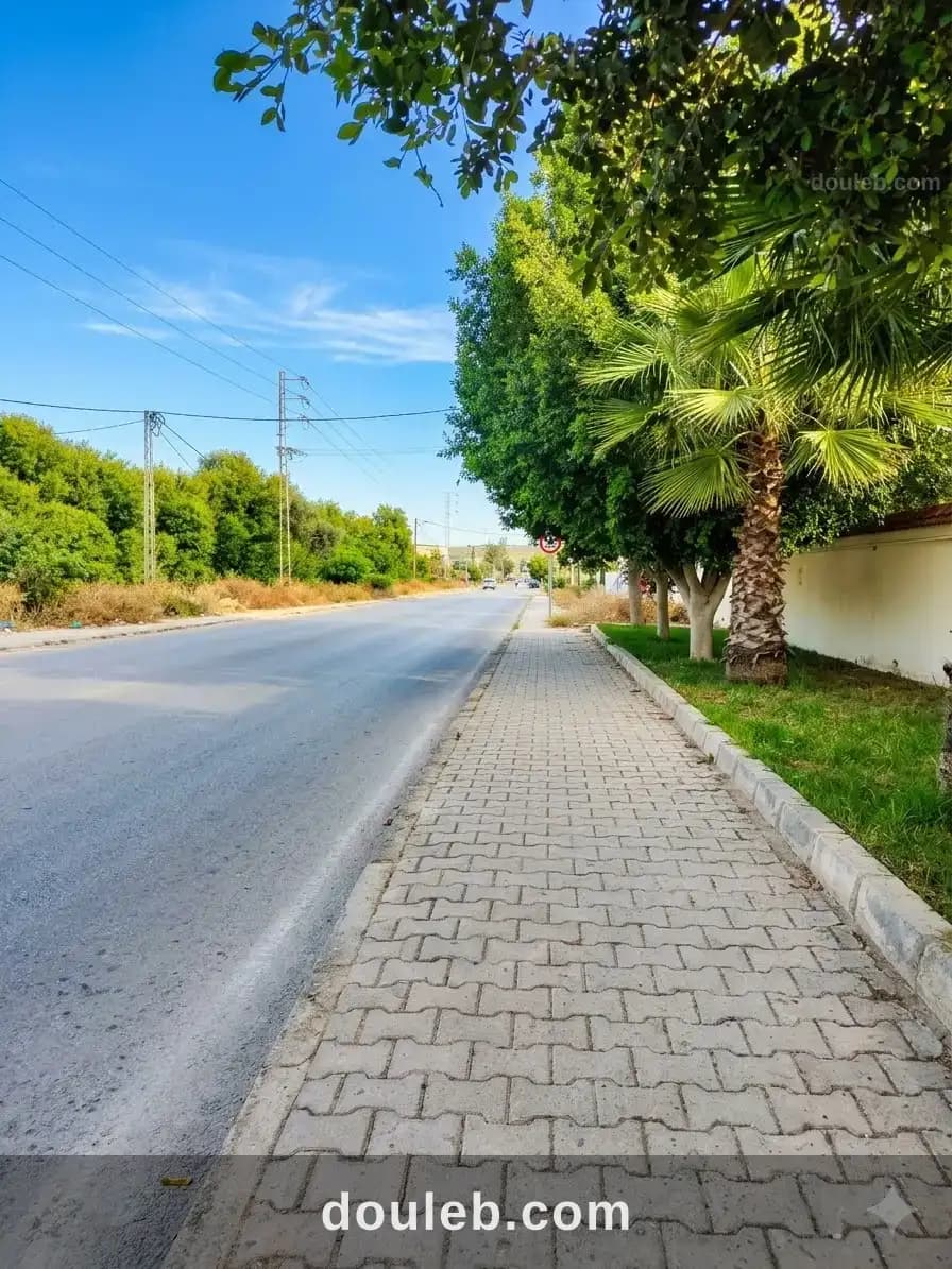 Terrain 1000 m2 double clôture bejaoua 1 à Manouba
