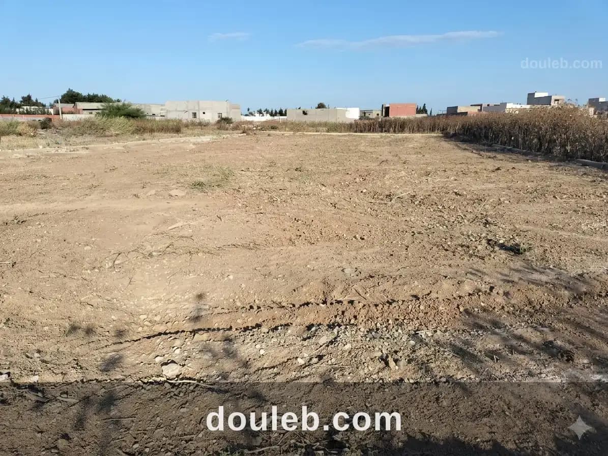 Terrain 1000 m2 double clôture bejaoua 1 - Miniature 3