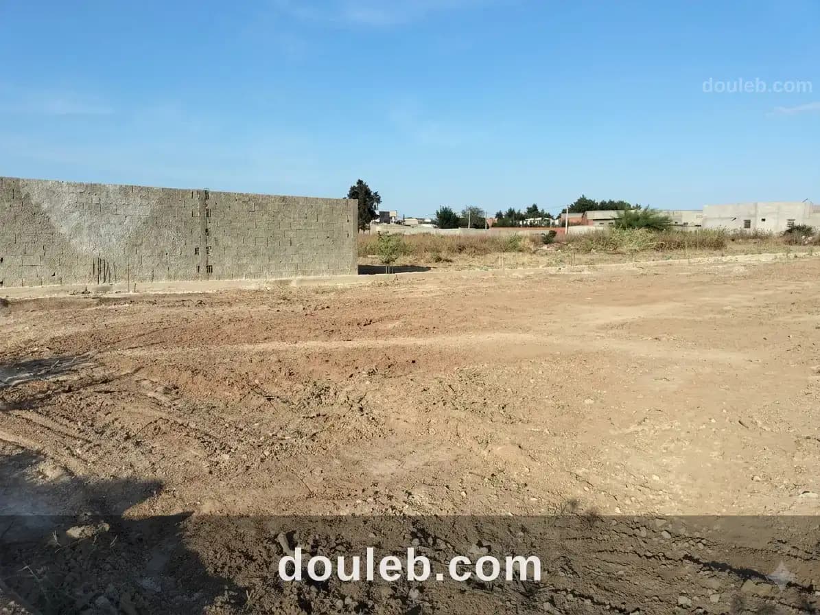 Terrain 1000 m2 double clôture bejaoua 1 - Miniature 4