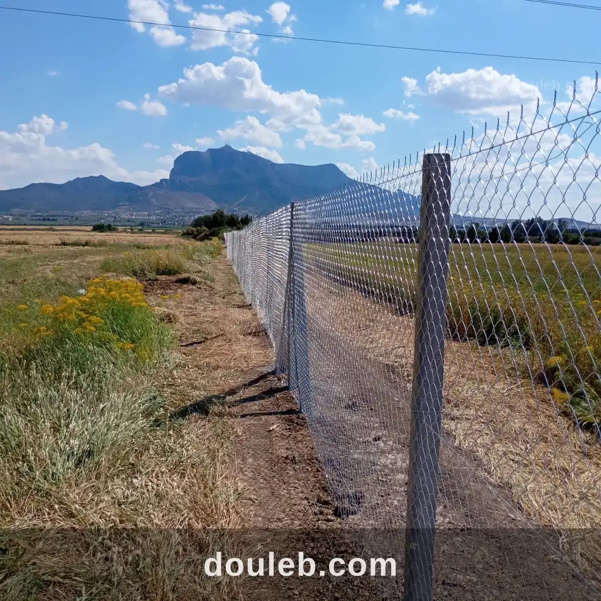 Magnifique ferme de 17 hectares à Zaghouan
