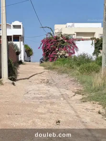 Terrian 1000m a manzel tmim à Nabeul