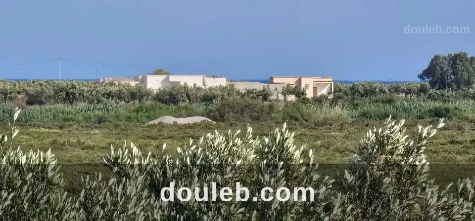 Terrain route gp1 71 hammamet sud à Nabeul