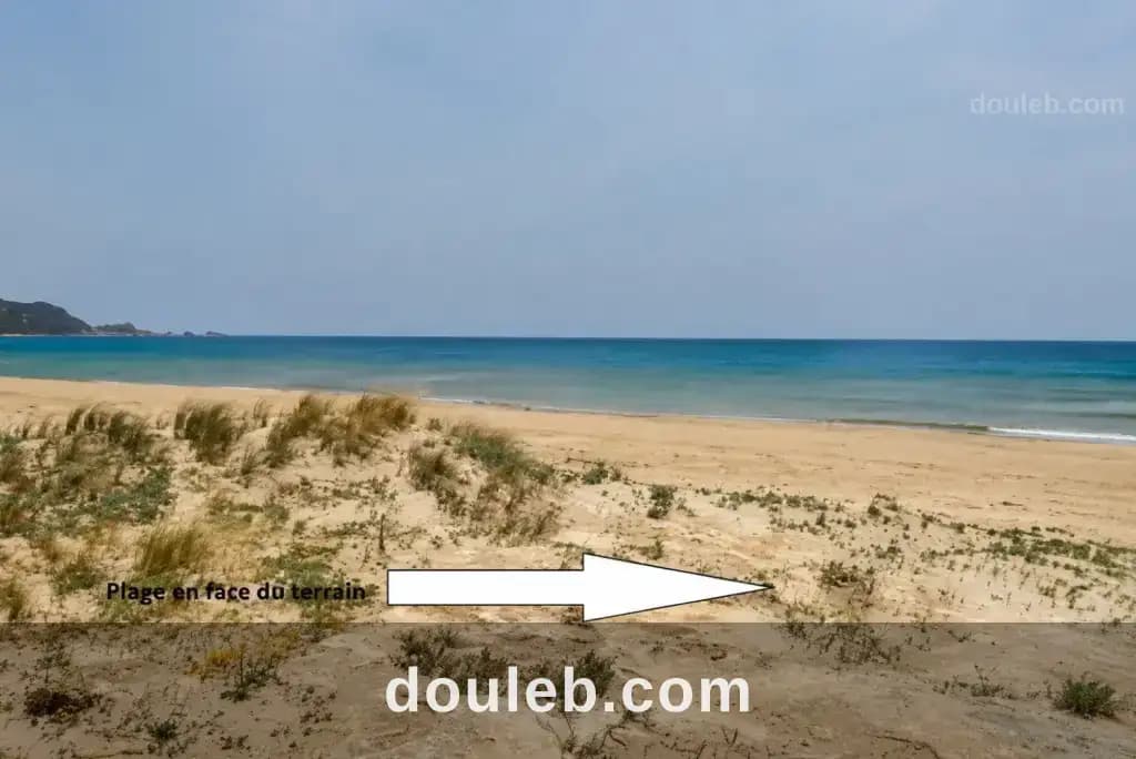 Terrain 700 m vue mer el haouaria - Miniature 2