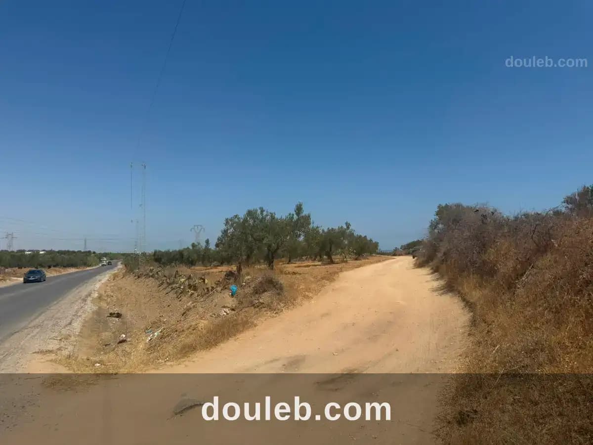 Terrain sur le route thrayet ouerdanine - Miniature 5