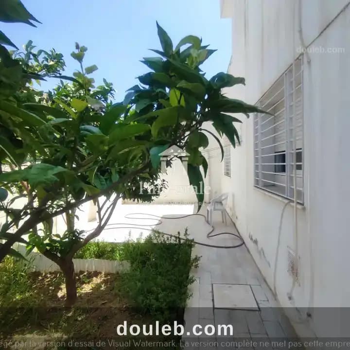S1 avec jardin - Miniature 5