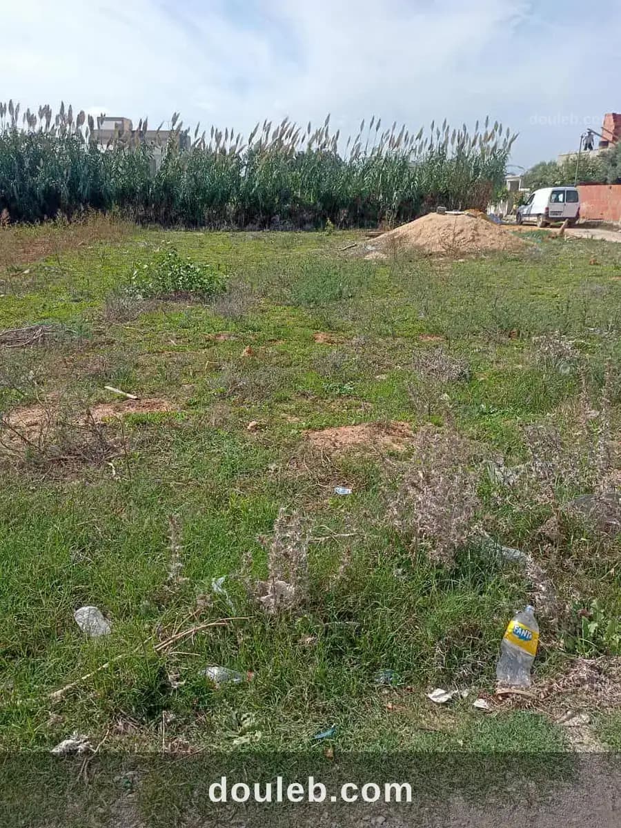 1000m2 seulement a 80mdt à Nabeul
