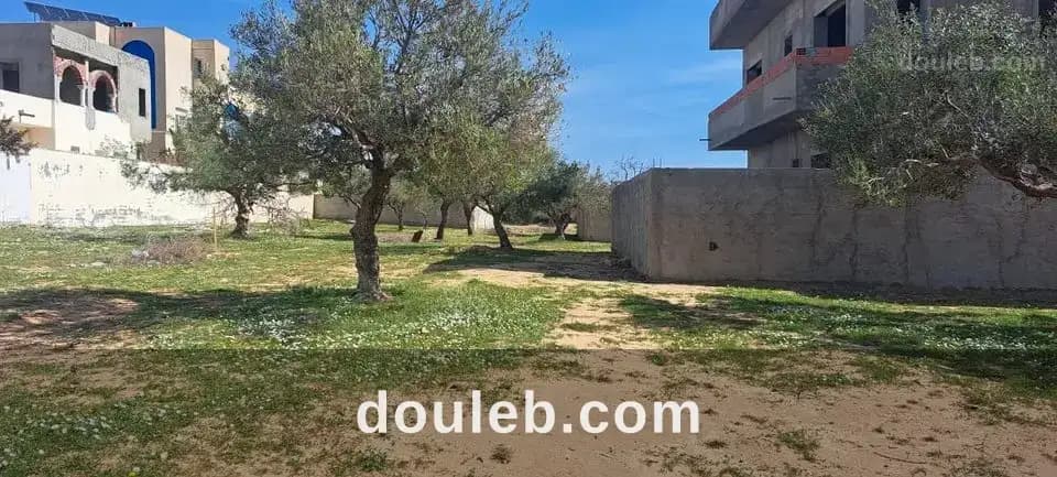 Terrian de 200m a mrezga hammamet à Nabeul