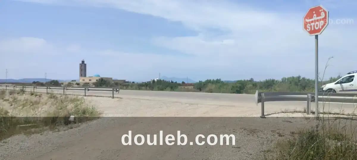 Terrian de 216m a klm 71 à Nabeul