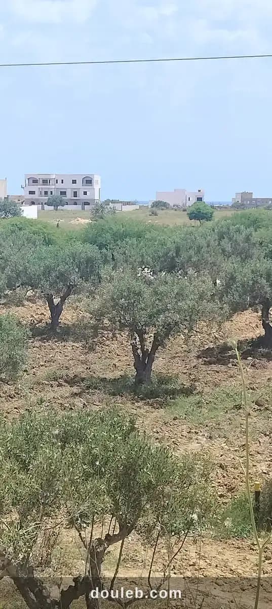 Terrain 300m a yassmine hammamet - Miniature 2