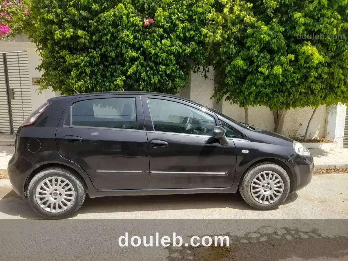 Grandi punto - Miniature 3