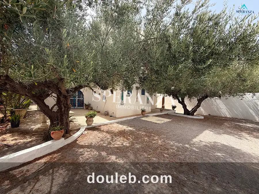 Villa eric à Nabeul