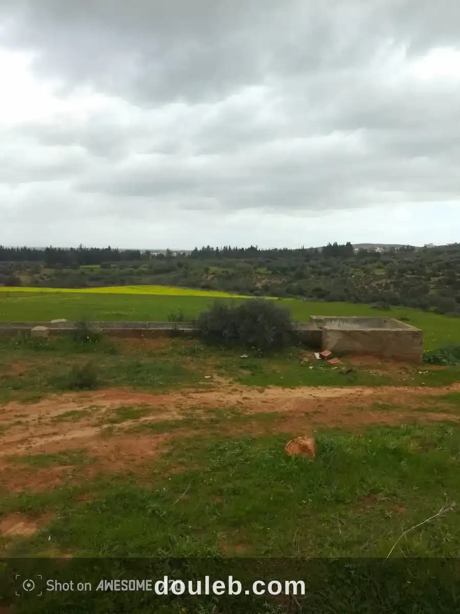 Terrain de 1 hectare à sidi thabet jabbes - Miniature 5
