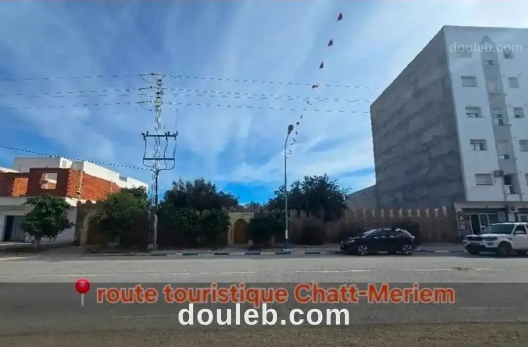 Magnifique villa 4000 m2 terrain à chatt mariem - Miniature 4