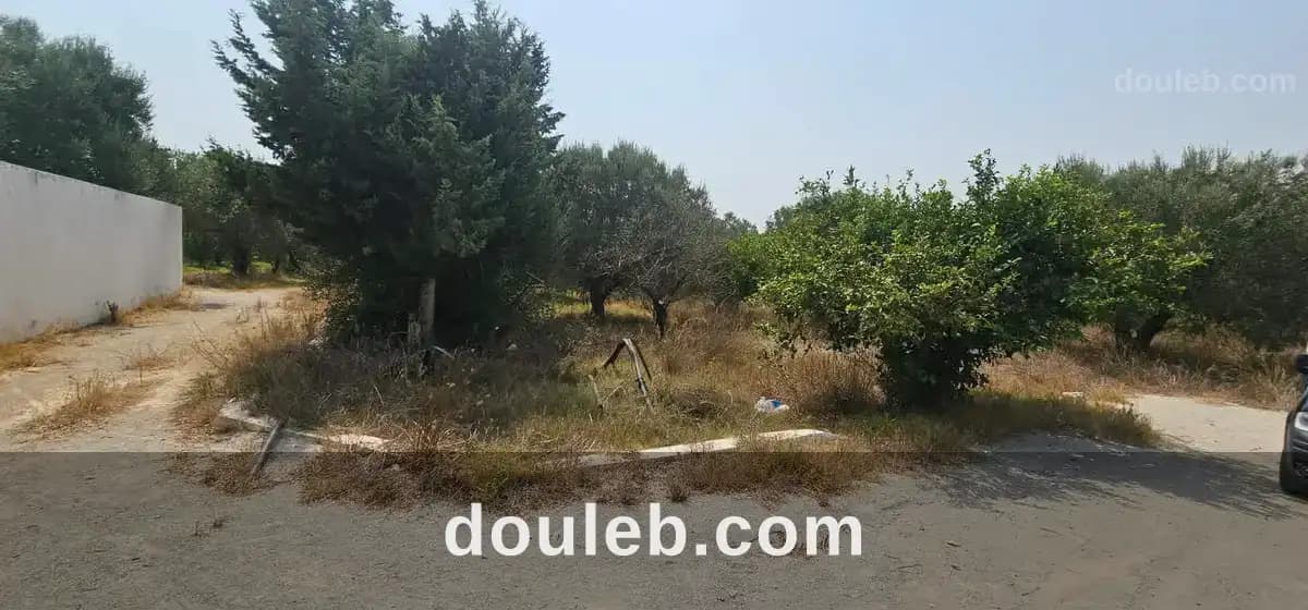 Deux terrains a hammamet entoure par des villa à Nabeul
