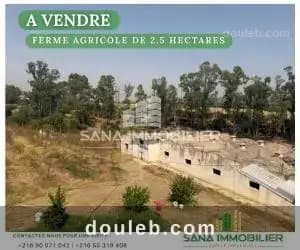 A ferme agricole de 25 ref577a à Ben Arous
