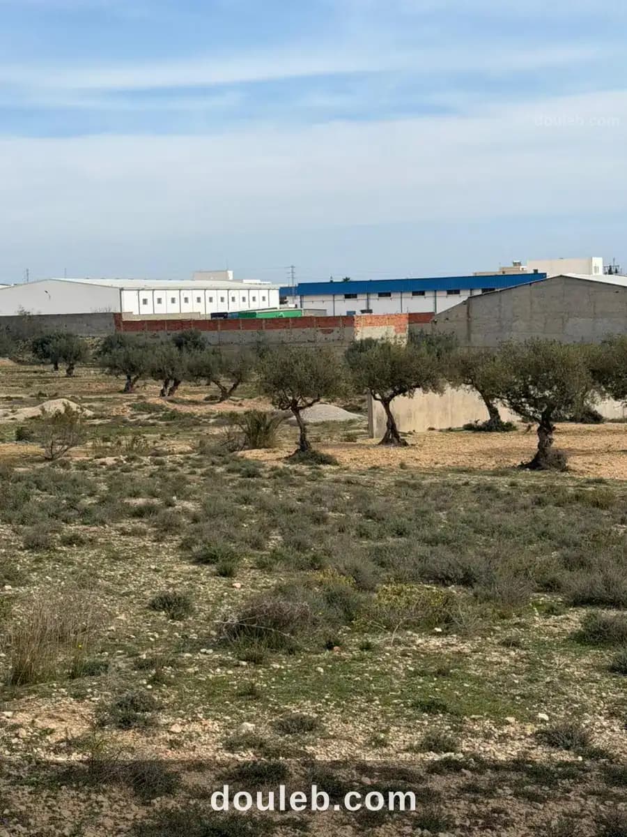 Terrain constructible sousse 30000 m - Miniature 4