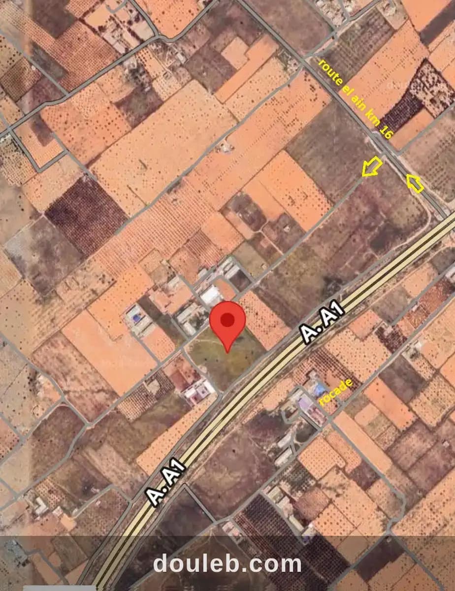 Terrain agricole route el ain km 16 - Miniature 2