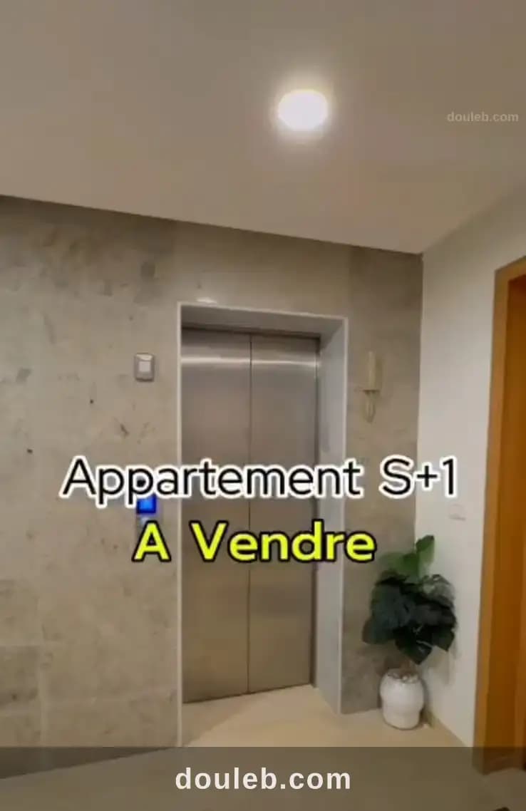 Appartement titré ariana - Miniature 2