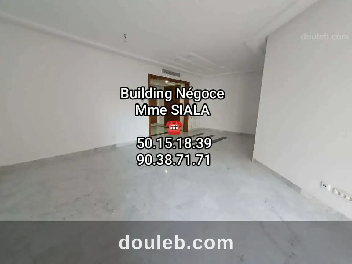 Agréable appt s2 haut stg menzah 9c à Tunis