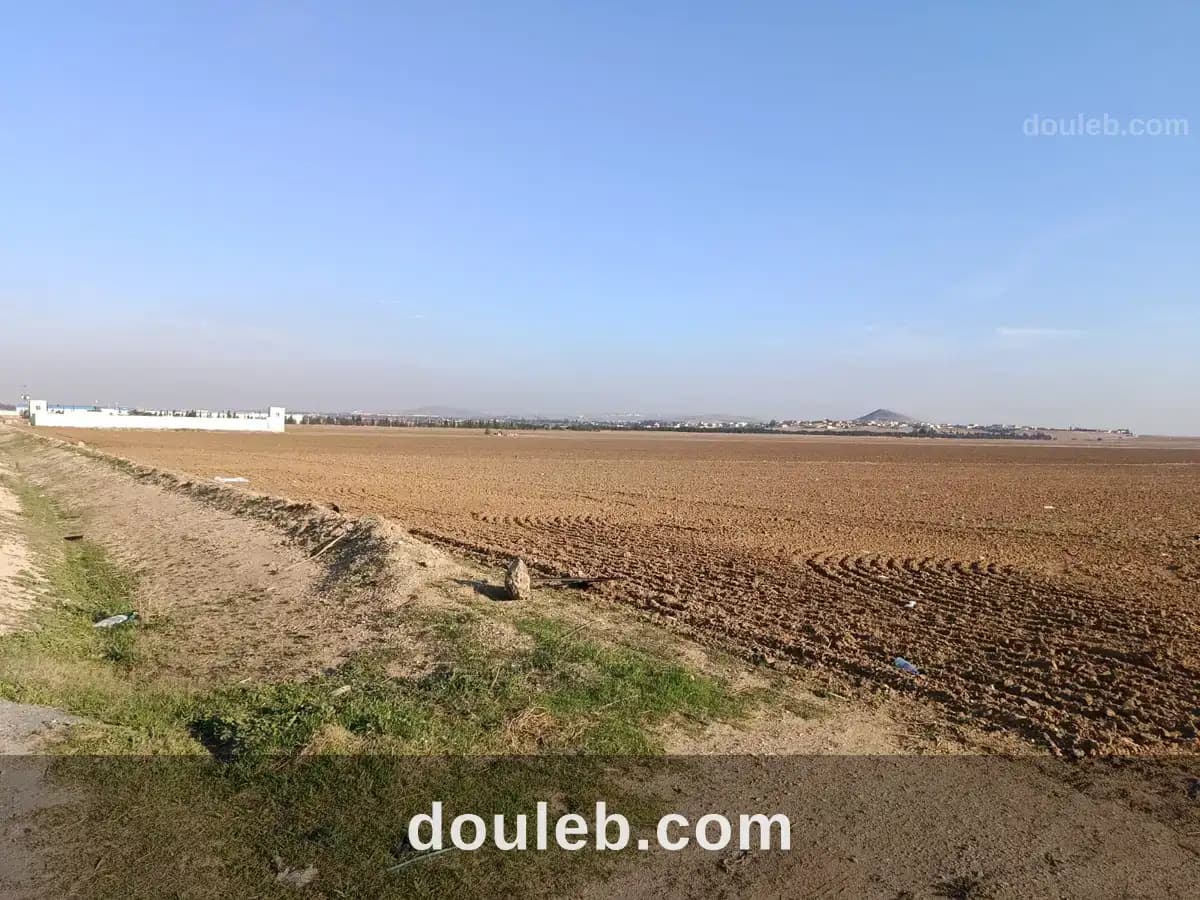Terrain à el fejja à 2 min du néopark et afh à Manouba