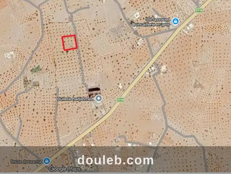 Terrain exceptionnel à djerba bazim houmt souk - Miniature 3