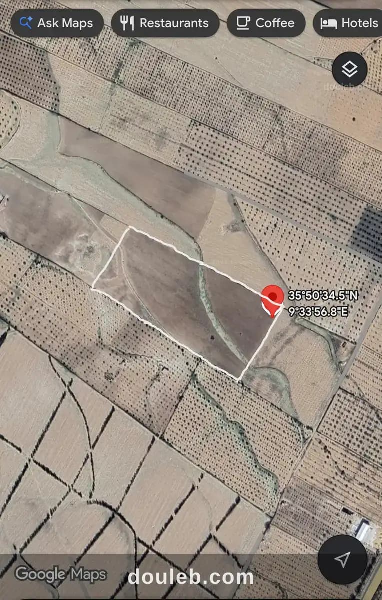 Terrain agricole à Kairouan