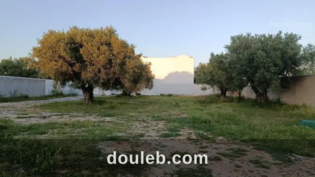 Terrain a hammamet quartier echraf 710 m2 à Nabeul