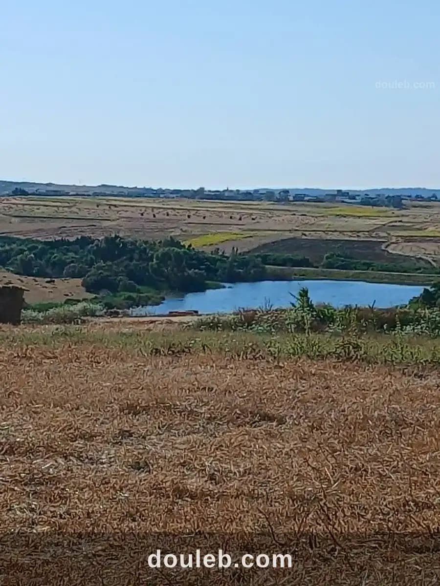 Offre a ne pas ratter à Nabeul