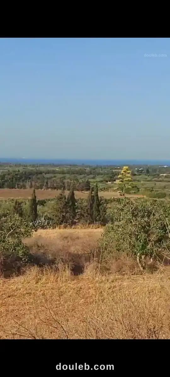 Terrain rasjbal ola kiosque à Bizerte